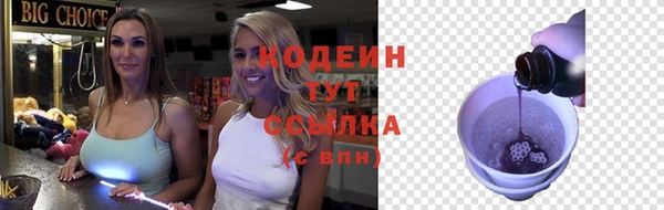 шишки Нязепетровск