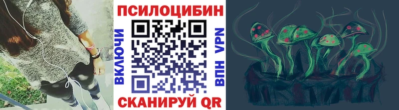 Купить где  Владимир  Галлюциногенные грибы Psilocybe 