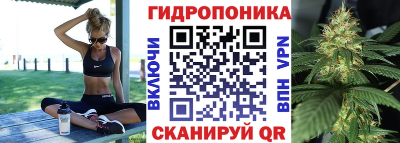 Бошки марихуана LSD WEED  Купить закладки  Владимир 